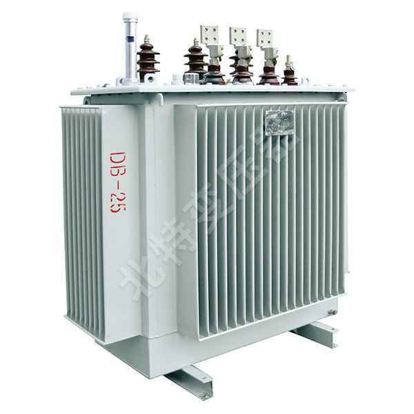 Fully sealed oil-immersed distribution transformer